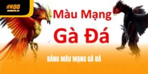 4 kinh nghiệm xem bảng màu mạng gà đá hiệu quả trên HM88