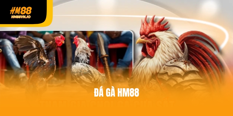 Hướng dẫn các bước tham gia đá gà HM88 đơn giản