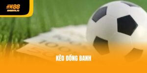 Bật mí 3 kinh nghiệm soi kèo đồng banh hiệu quả nhất 2025
