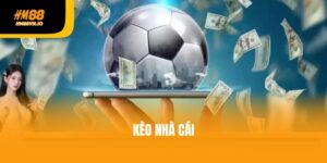 Tìm hiểu chi tiết về kèo nhà cái - Chơi đâu thắng đó
