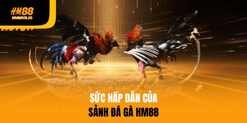 Sức hấp dẫn của sảnh cược đá gà HM88